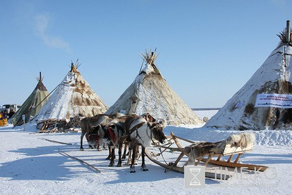 Губернатор Ненецкого АО похвалился возросшим турпотоком из Африки