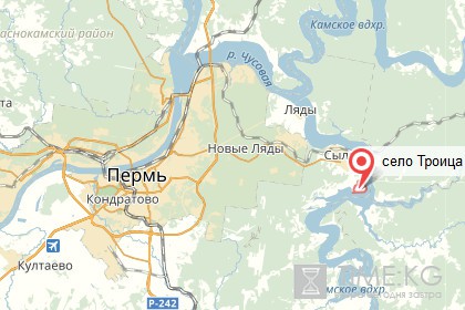 Под Пермью убит коммерческий директор оборонного предприятия