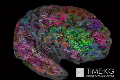 Построена трехмерная карта слов в мозге человека