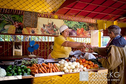 Правительство Кубы снизило продовольственные цены на 20 процентов