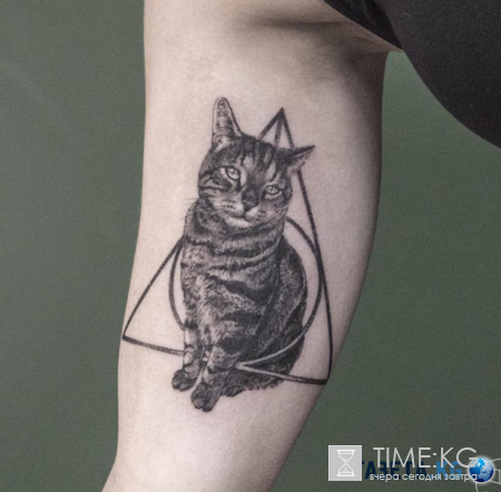 Cat-татуировки: когда любовь к кошкам сильнее всего!
