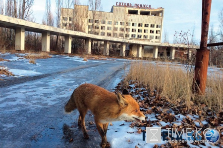 Город-призрак: экскурсия по Чернобыльской зоне отчуждения спустя 30 лет