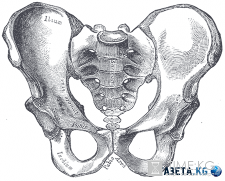 Лучший возраст для рождения ребенка ученым подсказали кости таза
