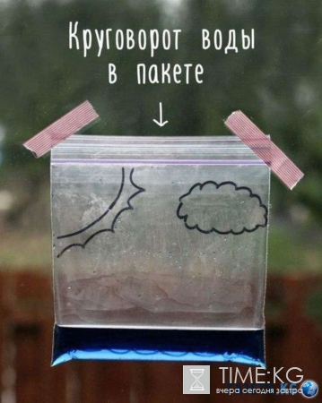 Наука в помощь: как стать кумиром всех детей