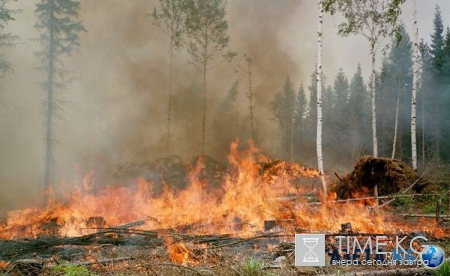 В Кабардино-Балкарии площадь пожара в горах превысила 10 гектаров