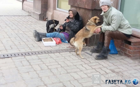 В Москве задержали мошенников: злодеи обворовывали несчастных престарелых людей