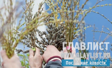 Вербное воскресенье 2016: обычаи, приметы и традиции. Что можно и что нельзя делать