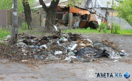 Землетрясение в Японии 2016 унесло жизни девяти человек, более 950 пострадали