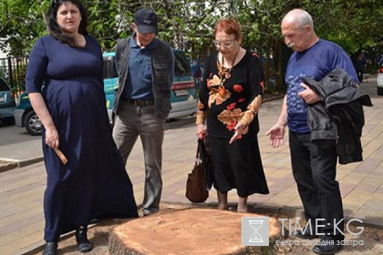 В Сочи в День космонавтики спилили посаженный Гагариным кедр