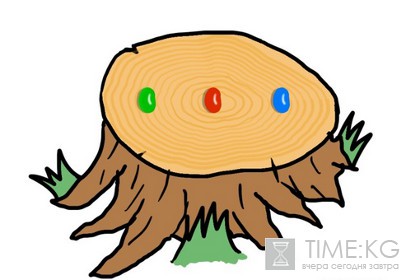 Загадка об отравленных леденцах взорвала интернет