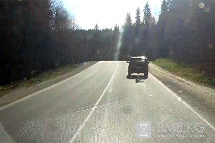«Добрый человек» из Лахденпохьи протащил привязанного к машине пса по дороге