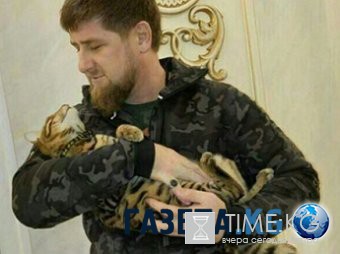 Кадыров ответил американскому комику на шутку о розыске его кошки