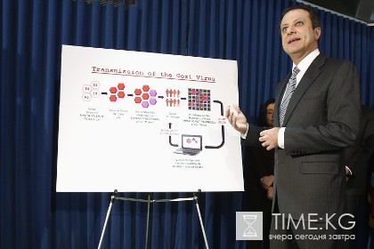 Российского хакера в США приговорили к 37 месяцам заключения