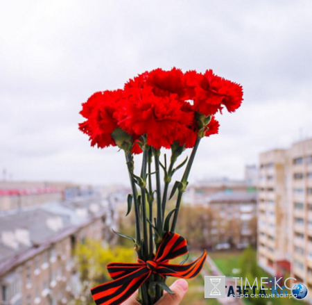 День Победы 2016: главные цветы праздника красные гвоздики