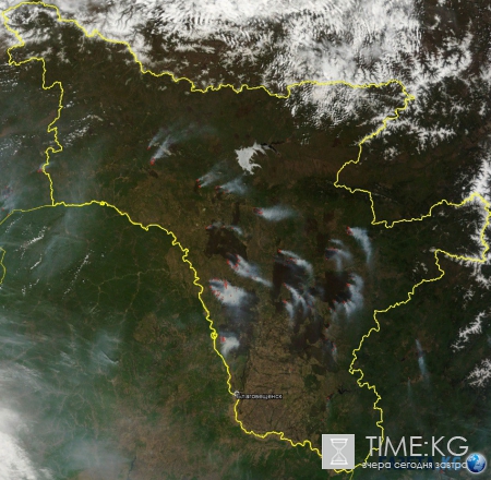 Гринпис бьет тревогу: гигантские пожары в Сибири уже не потушить