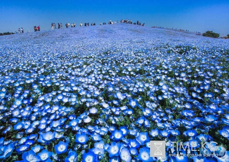 National Geographic 2016: самые крутые фотографии этого года!