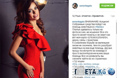 Ольга Бузова накормила собак из «приюта смерти»