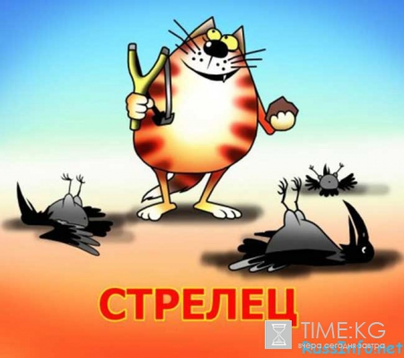 Шуточные предсказания на 2016 год