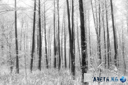 Удивительная планета: самые сказочные фотографии из разных уголков мира