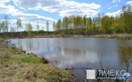 В Иркутской области утонул пенсионер, запутавшийся в рыболовных сетях