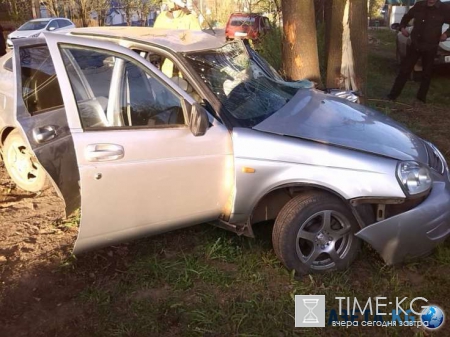 В Кировской области «Лада Приора» влетела в дерево