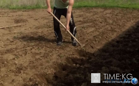 В Коряжме жена до смерти забила мужа за то, что он не пошел работать на огород