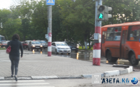 В Липецке автобус с пассажирами врезался в дерево, 9 человек травмированы