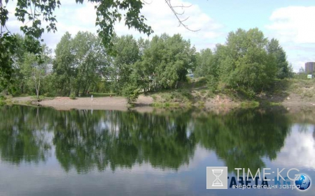 В московском парке Кузьминки, решив искупаться в пруду, пропал мужчина