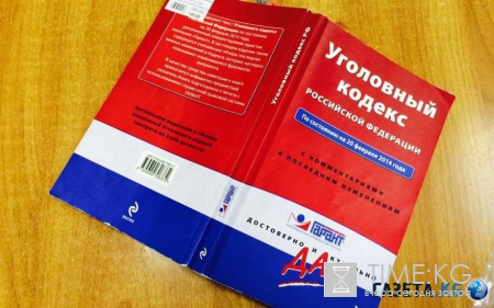 В Новосибирской области следователи проверят бердское училище из-за доведения студентки до истощения