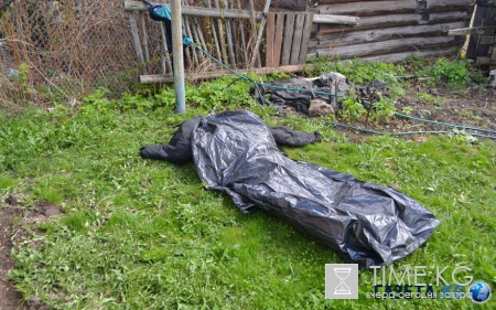 В Приморье мужчину и женщину убили за то, что они отказались грузить дрова