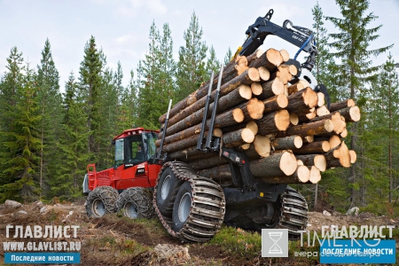 Woodtrade фото: все о деревообрабатывающей промышленности в России