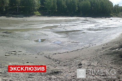 В Новосибирске из экспериментального пруда РАН похитили рыбу