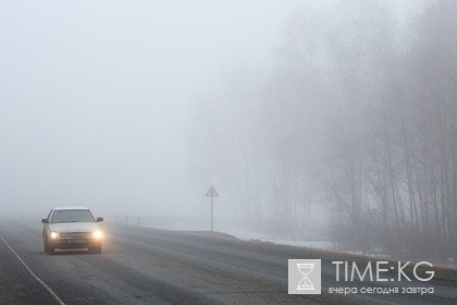 Курганские детдомовцы ограбили ехавшего из Берлина в Шанхай велотуриста