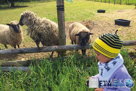 Дачный сезон: на что готовы звезды ради своих огородов