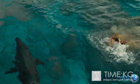 Фильм, после которого плавание станет кошмаром (видео)