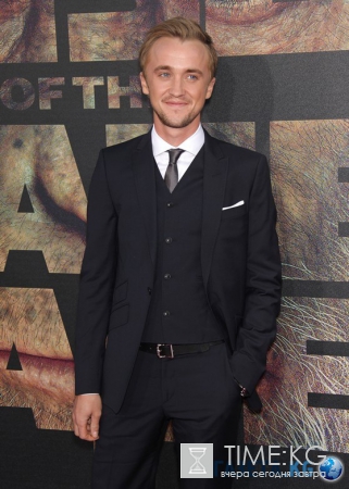 Гарри Поттер 15 лет спустя: алкоголь, машины и романы