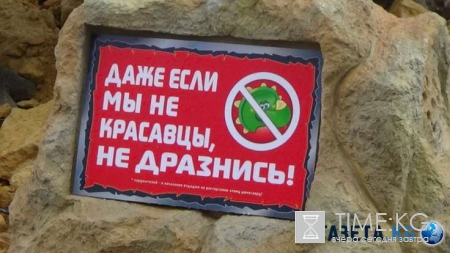 Парк динозавров Казань: что интересного посмотреть, стоимость билетов, как добраться