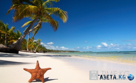 Путеводитель по обману потребителя: горящие путевки