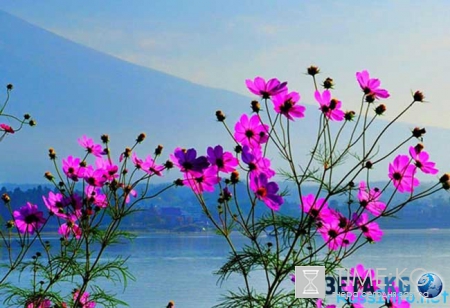 Сколько отдыхаем на майские каникулы в 2016 году