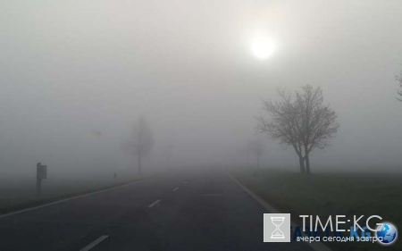 В ДТП на трассе Сыктывкар-Ухта в Коми погиб человек, есть пострадавшие