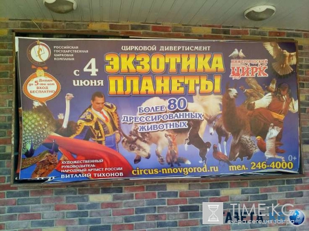 В Нижегородском цирке эквилибрист без страховки упал с высоты прямо на глазах у детей