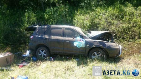 В Новгородском районе иномарка слетела в кювет: погибла женщина, пострадали двое детей