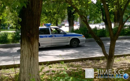 В Тольятти убита женщина садовой скульптурой