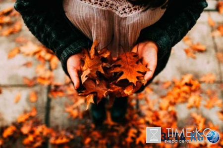 Западный гороскоп на 2017 год по знакам зодиака