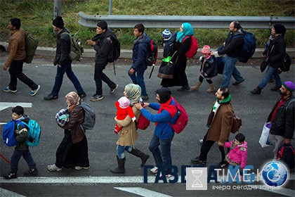 Австрия начала депортацию мигрантов самолетами ВВС