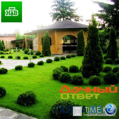 Дачный ответ выпуск 10 июля 2016 года смотреть онлайн