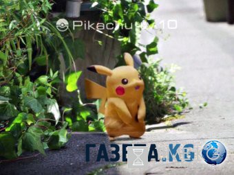 Pokemon GO: все о культовой игре