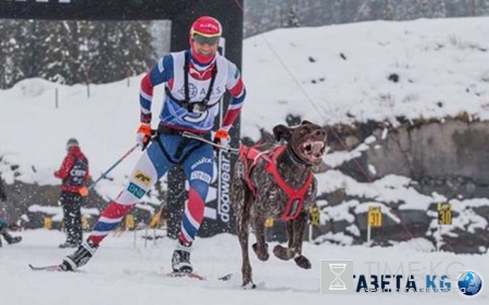 Финишировали: Даша Домрачева и Уле-Эйнер Бьорндален наконец-то поженились, невеста и жених очаровали поклонников
