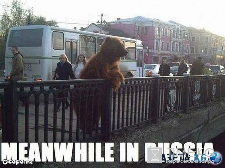 Иностранцы о России. Подслушано.