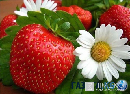Картинки, освежающие разум и изгоняющие печаль (ч.7)
